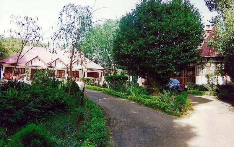 Rosa ville Shillong, Shillong 1